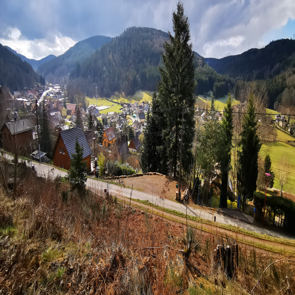 Offres de vente Terrain Colroy-la-Roche 67420