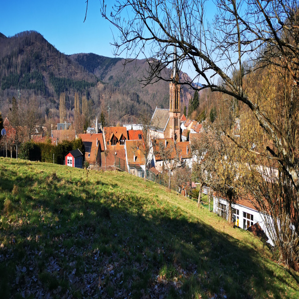 Offres de vente Terrain Barembach 67130