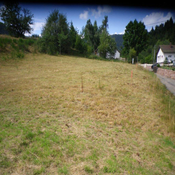 Offres de vente Terrain Champenay 67420