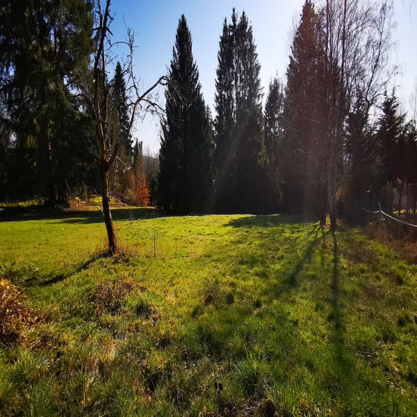 Offres de vente Terrain Plaine 67420